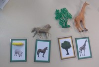 Foto de figuras pareadas com objetos